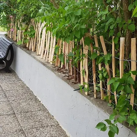 Altes Schreiner Haus In Der Vulkaneifel * Brockscheid