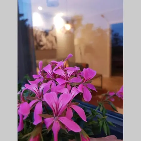 Altes Schreiner Haus In Der Vulkaneifel Brockscheid