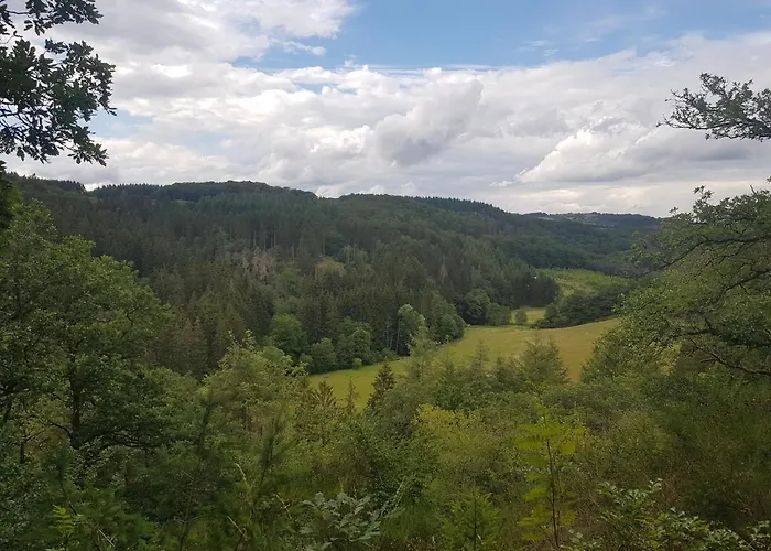Altes Schreiner Haus In Der Vulkaneifel Brockscheid