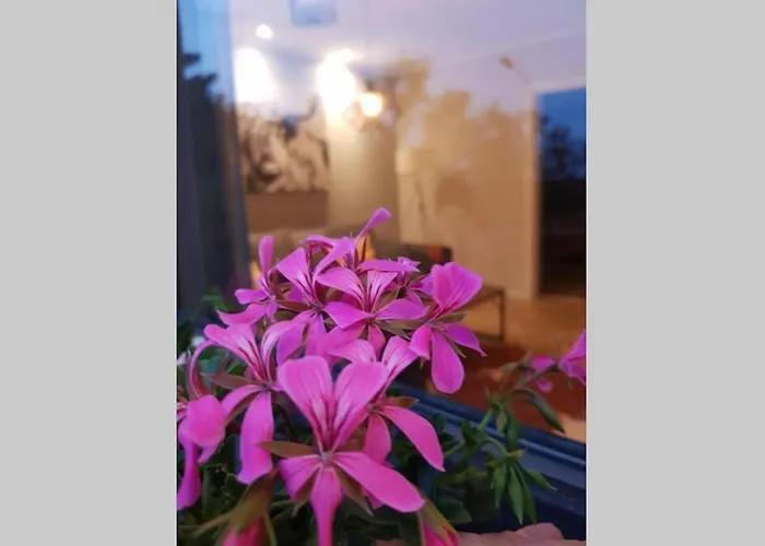 Altes Schreiner Haus In Der Vulkaneifel Brockscheid